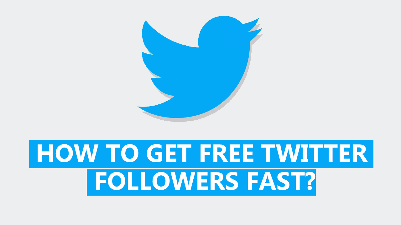 Copy twitter followers free